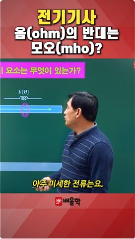 김*인 학습자